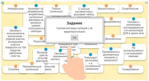 Мутації