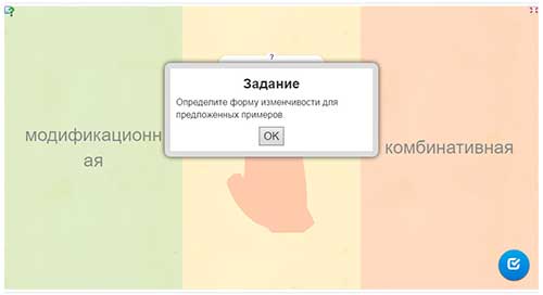 Мутації