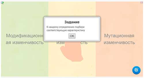 Мутації