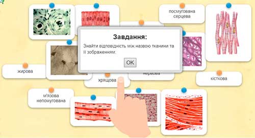 Тканини