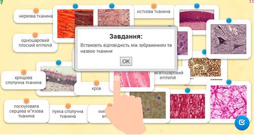 Тканини