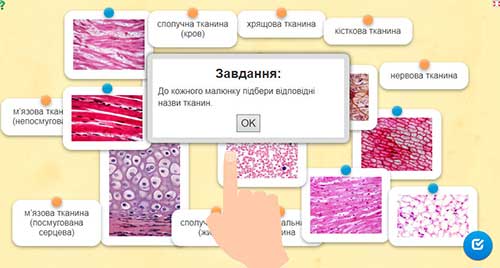 Тканини