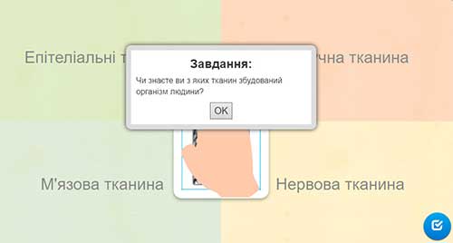 Тканини
