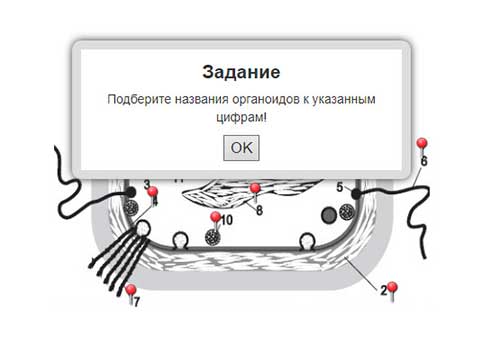 Интерактивное задание