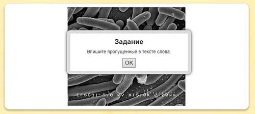 Интерактивное задание