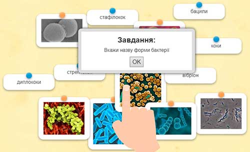 Интерактивное задание
