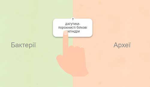 Интерактивное задание