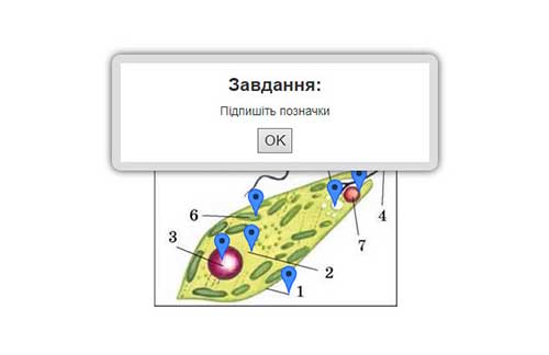 Интерактивное задание