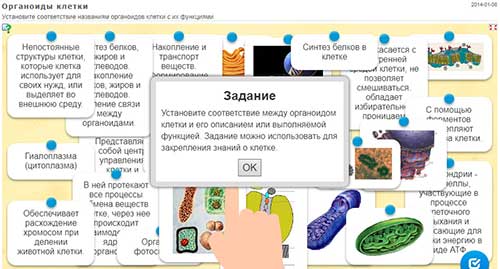 Интерактивное задание