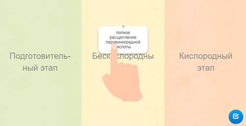 Энергетический обмен