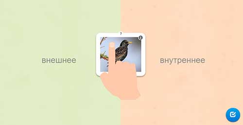 Типы оплодотворения