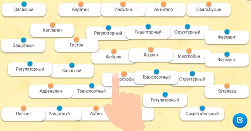 Функции белков