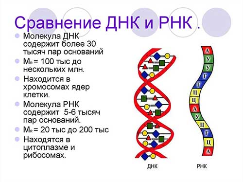 Интерактивное задание