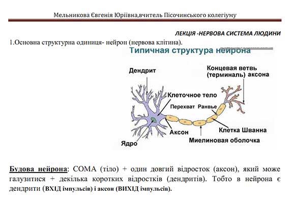 Конспект