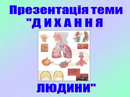 Дихання людини