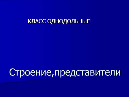 Класс Однодольные
