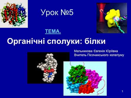 Органічні сполуки. Білки