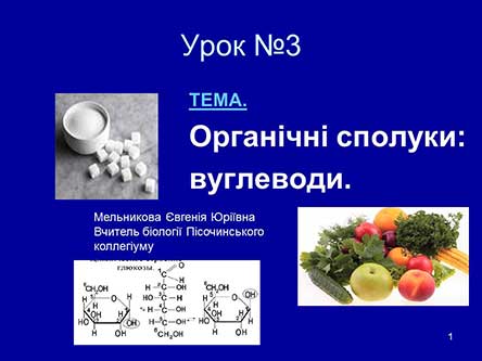 Органічні сполуки. Вуглеводи