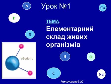 Елементарний склад живих організмів