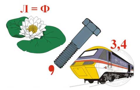 Ботаніка