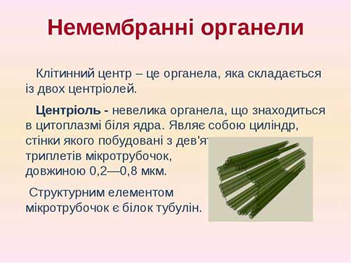 АТФ