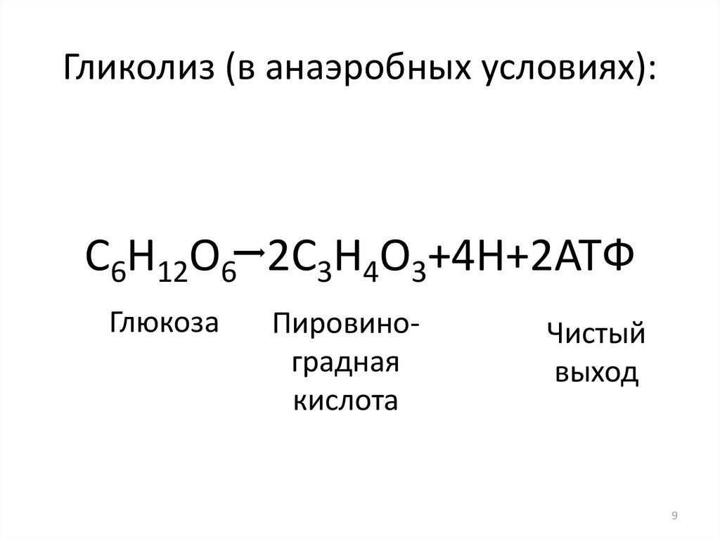 Диссимиляция