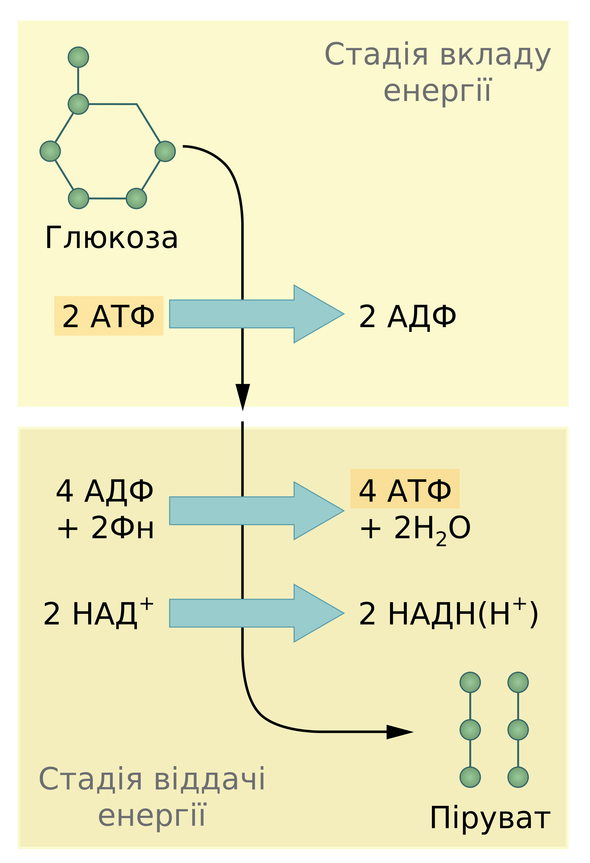 Диссимиляция