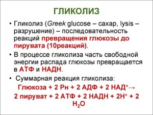 Диссимиляция