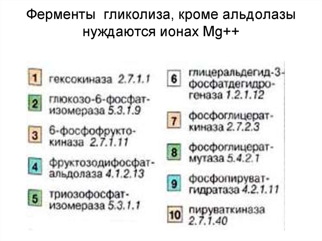 Диссимиляция
