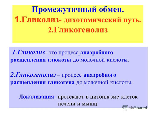 Диссимиляция