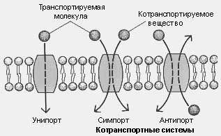 Поверхневий апарат
