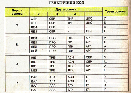 Генетичний код