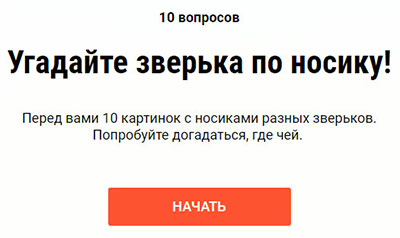 Угадайте зверька по носику!