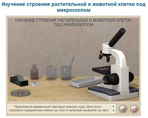 Виртуальная лаборатория