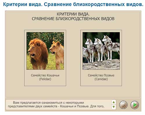 Виртуальная лаборатория