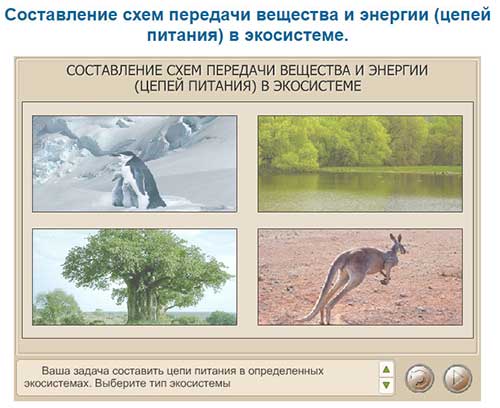Виртуальная лаборатория